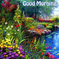 Welcome to the good morning images in hindi website, here you'll find the best good morning scenery images with heart touching quotes. 32 Good Morning Images With Nature Free Good Morning Images
