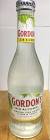 Gin Tonic Sin Alcohol