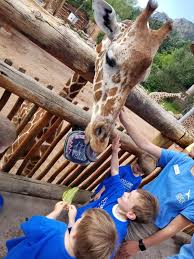 Enjoy spring break at steamboat with plenty of fun outdoor and indoor activities for kids, teens, and adults alike. Colorado Springs Summer Camps Blend Fun With Learning Lifestyle Gazette Com