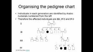 Pedigree Symbols