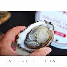 Artisan Producteur Sur La Lagune De Thau Depuis 1983 Les Huitresrouzieres Sengagent A Produire Une Huitre De Bouzigues De Grande Q Vegetables Instagram Garlic