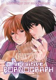 Sensitive Pornograph - DVD - Media Blasters