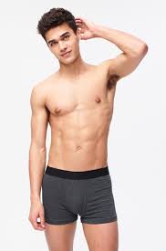 Boxer Briefs For Men Guys Aeropostale