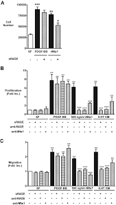 Interdependent Serotonin Transporter and Receptor Pathways Regulate  S100A4/Mts1, a Gene Associated With Pulmonary Vascular Disease