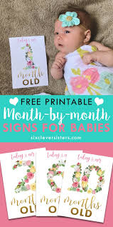 Floral Month Signs For Baby Pictures Six Clever Sisters