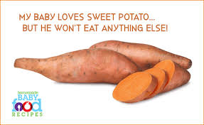 (photo 1) slice in half. My Baby Loves Sweet Potato But He Won T Eat Anything Else The Homemade Baby Food Recipes Blog