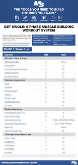 Get Swole 5 Phase Muscle Building Workout System Workout Training Programs Muscle Building Workouts Training Program Workout Routines