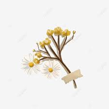 Download lebih dari 20 gambar bunga png tanpa background untuk mempercantik desain anda scenery wallpaper aesthetic pastel wallpaper aesthetic backgrounds aesthetic wallpapers. Aesthetic Dried Flower With In Vintage Hand Drawn Style Aesthetic Dried Flower Vintage Png Transparent Clipart Image And Psd File For Free Download