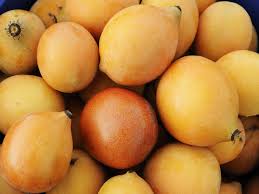 8,543 free images of fruit tree. Achacha Super Fruit Tree