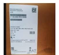 Amazon.com: LRILLMAING 1 Pcs New 6SL3220-2YD12-0UB0 in Box ...