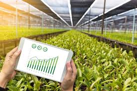 Maklumat dibekalkan oleh bahagian pembangunan industri tanaman, jabatan pertanian malaysia : Urus Operasi Ladang Pertanian Guna Teknologi Digital Wilayahku