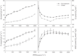 Umumnya adalah akar, rimpang, batang, dan daun. Response Curves Of The Gas Exchange Parameters Including Stomatal Download Scientific Diagram