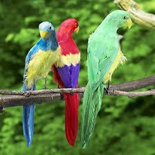 Image result for parrot