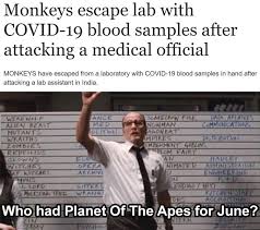 So Apparently This Actually Happened You Can Google The Headline And Find The Article Funny Funny Relatable Memes Stupid Funny Memes