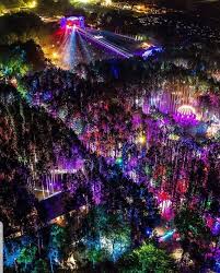 Electric Forest Rothbury Michigan In 2020 Electric Forest Festival Forest Festival Electric Forest