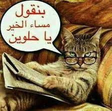 مساء الخير good morning images flowers book worms good morning good night