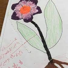 النشاط المدرسي ينمي ابداعي مدارس منارات الرياض التعليم معارف للتعليم موهبة السعودي مطويات مميزه للصف الثاني الابتدائي في ماده العلوم