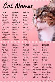 This List Of Cat Names Offers Ideas For Male And Female Cats Whether You Re Looking For Classic Cute Funny Or Kitten Names Girl Cute Cat Names Girl Cat Names