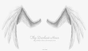 Angel black and white drawing. Black And White Angel Wings Drawing Transparent Png 1600x863 Free Download On Nicepng