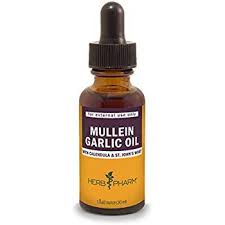 Holistic Approaches To Ear Infections Family Wellness Tips