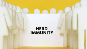 Check spelling or type a new query. Kondisi Herd Immunity Adalah Tanda Pandemi Berakhir Ini Penjelasan Epidemiolog Tribunnews Com Mobile