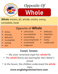 Think of a whole pizza, sitting there in all it's delicious glory. Opposite Of Whole Antonyms Of Whole Meaning And Example Sentences English Grammar Here
