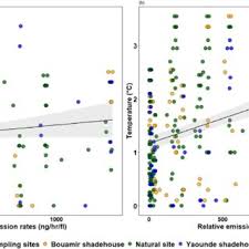 Image result for Tridactyle stevartiana