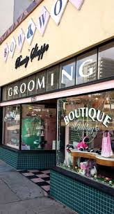 Thanks paul, you were great. 75 Pet Store Lighting And Design Ideas Pet Store Pet Store Ideas Pet Store Design