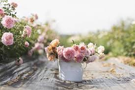 O flower (for vaporization or nebulization only) o oil (for vaporization or oral consumption only) o. Love Blossoms Flower Farm Home Facebook