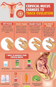 Some women can have a normal period all through their pregnancy , but this is very rare. Pin On Health And Fitness