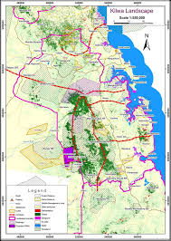 Image result for Justicia stachytarphetoides