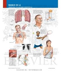 Learn vocabulary, terms and more with flashcards, games and other study tools. Welcome To Netter Images