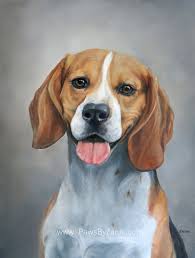 Pet Portrait Portfolio Dog Print Art Beagle Art Dog Art