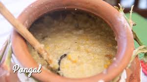 Ingredients » 1 cup raw rice » 1/2 cup green gram dal » 1 cup milk » 3 cups jaggery (powdered) » 4 tamils in americas. Sakkarai Pongal Sweet Rice Lentils Pudding In Pot Preetha Dakshin Curry Youtube