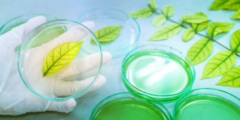 Image result for BIOLOGIA