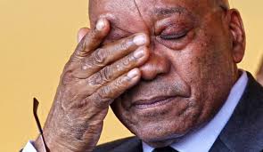 Audience ratings certified by acpm/ojd. Zuma Justice In Conflict