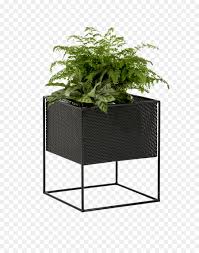 You can download (800x800) kotak hitam png png clip art for free. Kotak Bunga Bunga Logam Gambar Png