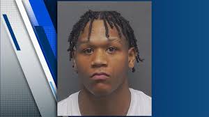 Windcrest police chief placed