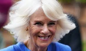 Camilla celebrates exciting milestone for successful project 'Many more  years to come!'