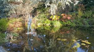 Botanical Garden Botanischer Garten Bern 2020 All You Need To Know Before You Go With Photos Bern Switzerland Tripadvisor