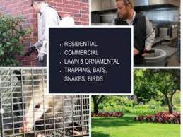 Past president greater houston pest control association, texas dept of agriculture structural pest control advisory committee member. Pest Control Sugar Land Richmond Katy Integrated Pest Mgmt Inc