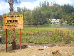 Hasil gambar untuk RANU PANE