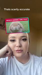 Liz Falcon (@letters4liz)