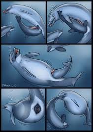 Rule 34 - 2017 Animal Genitalia Animal Penis Artist Name Bloated Bubble  Cetacean Cetacean Genitalia Cetacean Penis Cetacean Pussy Cheiss Comic  Dolorcin Dolphin Erection Female Feral Flukes Fully Inside Genitals Group  Head