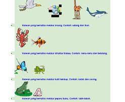 Spirakel (spiracles) merupakan liang seni di sisi badan serangga. Gambar Haiwan Yang Bernafas Melalui Spirakel Malayxdaas