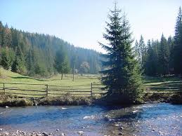 Aceste tari au fost incluse in clasamentul tarilor in functie de suprafata pentru ca o parte din ele ocupa spatiul geografic european. Cascada Cu Apa Termala Toplita O Rezervatie Unica In Romania Romania Mama Stiri Administratie Publica Anunturi Joburi Turism Sport Lifestyle Divertisment