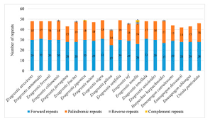 Image result for Harpachne