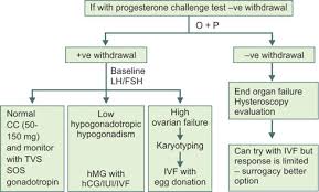 Image result for Progesterone Challenge Test