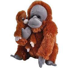 Mom And Baby Orangutan Wild Republic