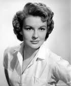 Muž z Kentucky (1955)